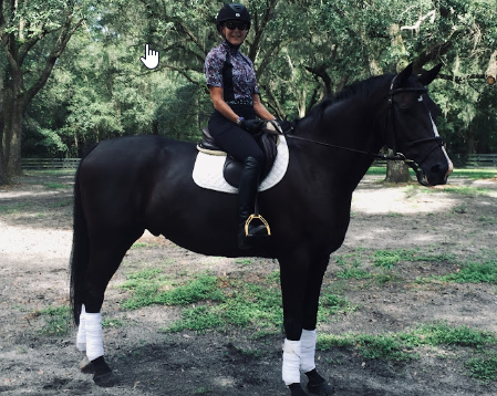 A person wearing a helmet, sunglasses, and riding gear sits on a black horse with white leg wraps and a white saddle pad, in a shaded outdoor area surrounded by trees.