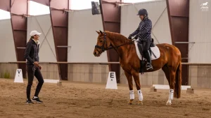 A person on a chestnut horse listens to an instructor inside an indoor riding arena. Dressage markers line the sand floor—perfect for noting your top five clinic takeaways for Summer 2025. The horse sports white leg wraps and a saddle pad.