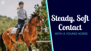 A person riding a brown horse in an outdoor setting, both in equestrian gear. Next to them, text reads: Steady, Soft Contact with a Young Horse on a dark blue background, highlighting the importance of steady contact while riding.
