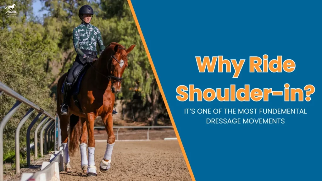 A rider in a helmet and patterned shirt rides a chestnut horse with white leg wraps in an arena. Text on a blue background reads: Why Ride Shoulder-in? It's one of the most fundamental dressage movements in horse training.
