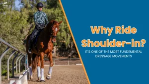 A rider in a helmet and patterned shirt rides a chestnut horse with white leg wraps in an arena. Text on a blue background reads: Why Ride Shoulder-in? It's one of the most fundamental dressage movements in horse training.
