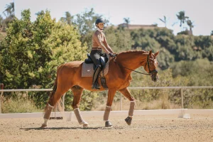 A person wearing a helmet and riding gear is riding a chestnut horse with protective leg wraps in an outdoor arena surrounded by greenery, preparing for the Open at 30 Days to Round 2025.
