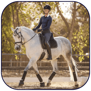 A person wearing a helmet, boots, and riding gear is riding a gray horse in an outdoor arena on a sunny day, with trees and sunlight in the background—perfect for reflecting after attending a Connection Webinar.
