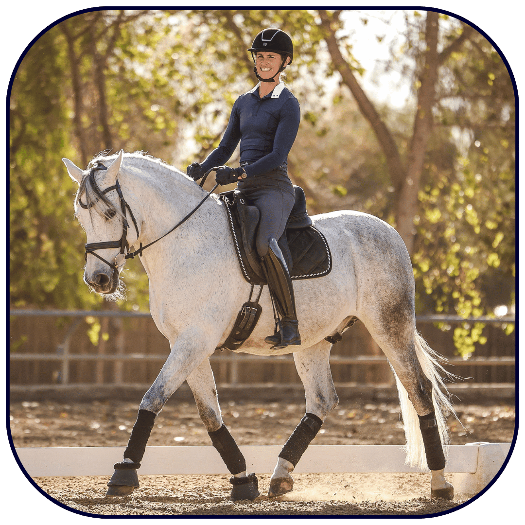 5 A person wearing a helmet, boots, and riding gear is riding a gray horse in an outdoor arena on a sunny day, with trees and sunlight in the background—perfect for reflecting after attending a Connection Webinar.