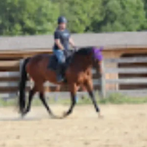 A person wearing a helmet rides a brown horse with a purple decoration on its head in an outdoor sandy arena, preparing for Round 2025, with Oli B watching from behind the wooden fence and trees.