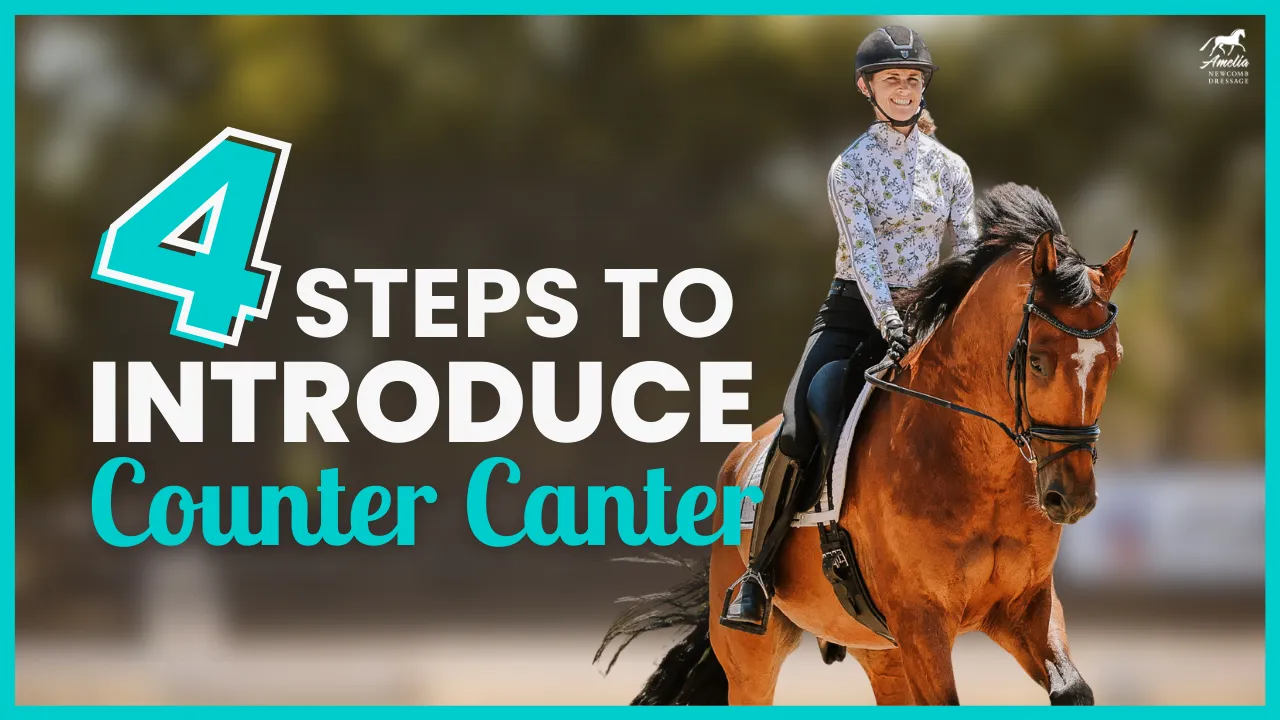 A smiling equestrian rides a brown horse outdoors. Text on the image reads: 4 Step by Step Ways to Introduce Counter Canter. The rider wears a helmet and patterned shirt. The background is blurred with green and yellow tones.