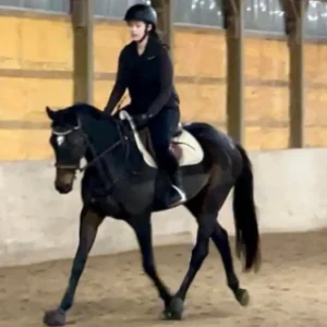 A person wearing a helmet and dark clothing rides a dark horse in an indoor riding arena with sandy ground and yellow walls during the 30 Days Round 2025 event.