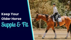 A smiling rider in a helmet and patterned shirt rides a brown, supple older horse in an outdoor arena. Text on a blue background reads, Keep Your Older Horse Supple & Fit.