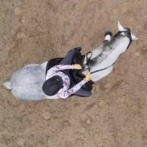 Aerial view of a person in a helmet and gloves riding a gray horse on sandy ground during Round 2025. The rider, wearing a patterned shirt, holds the reins with focus—capturing the spirit of Oli B’s 30 Days challenge.