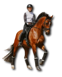 A person wearing a helmet and riding attire is riding a brown horse with black mane and tail. Both are in motion, and the horse has protective leg wraps. Perfect for those learning dressage terms—download your free PDF dressage glossary today!.