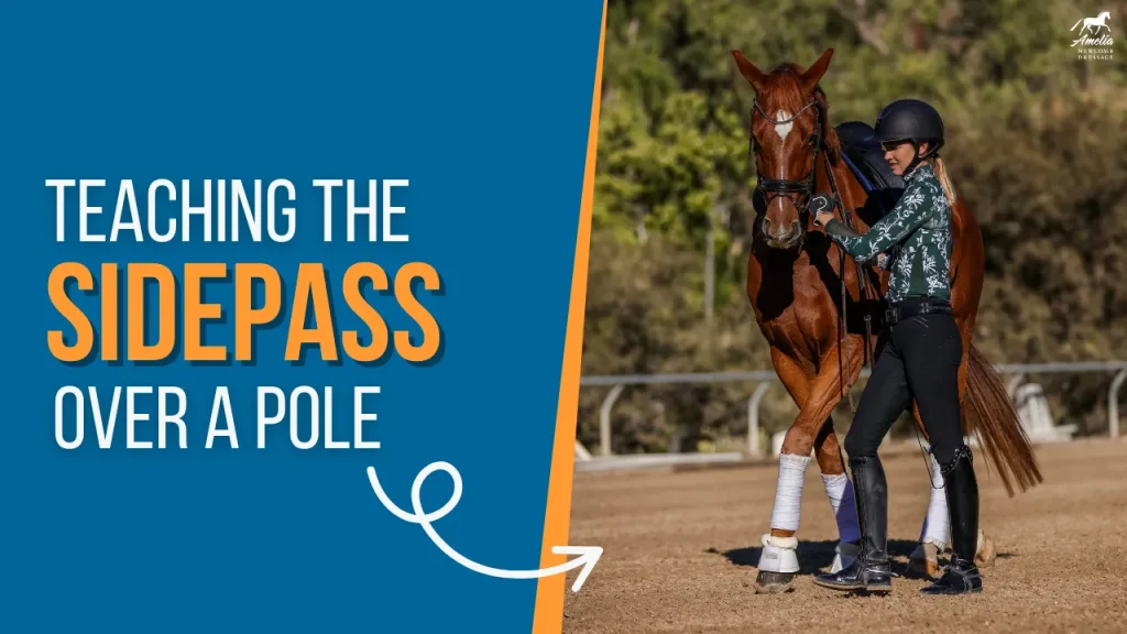 A woman in equestrian gear guides a chestnut horse next to a pole on the ground, outdoors. Text on the image reads: Teach your horse to sidepass with this step-by-step guide over a pole.