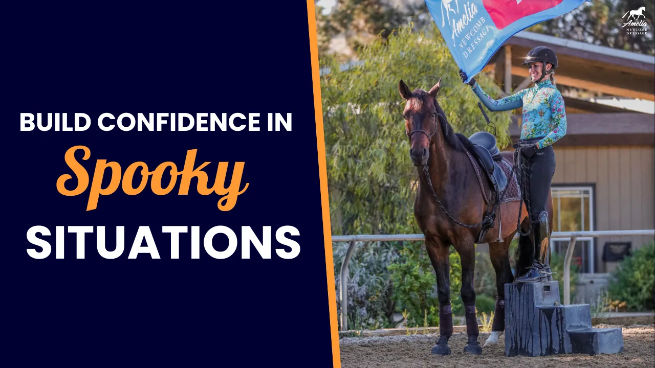 A person stands on a spooky horse holding a large blue flag, while another stands nearby. Text reads, Build confidence in spooky situations. The scene takes place in an outdoor arena during a horse training session.