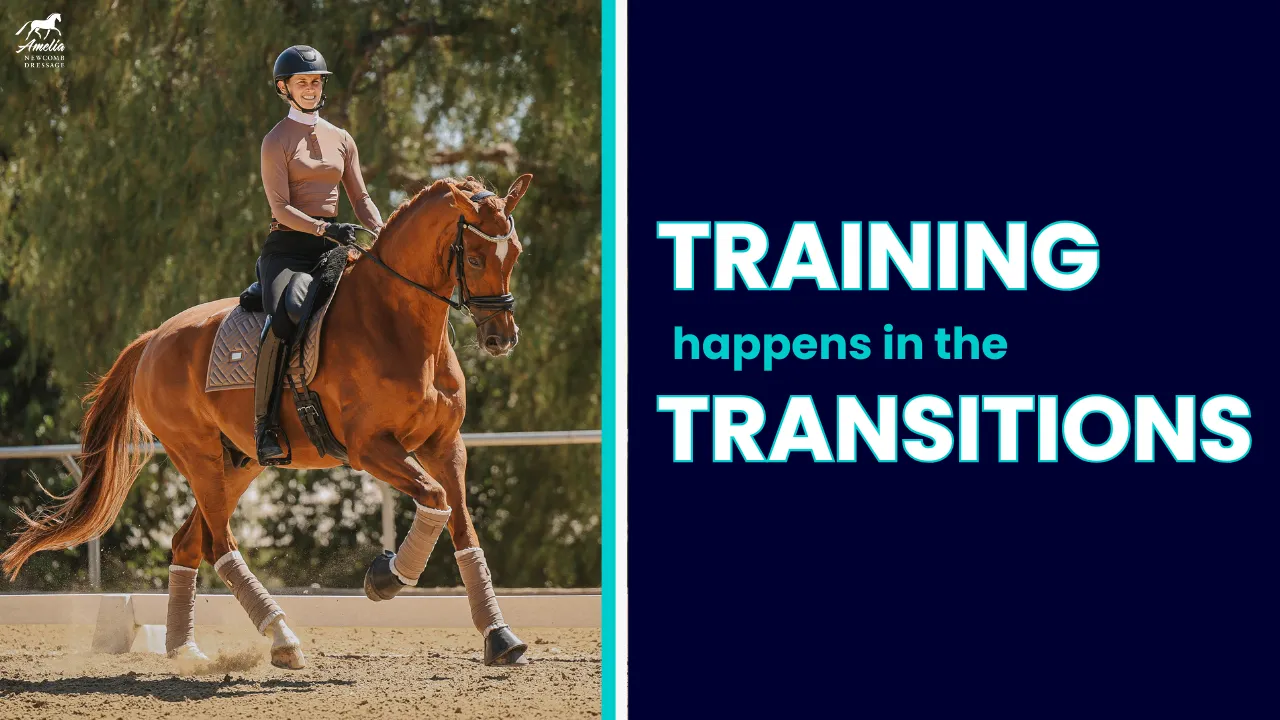 A person rides a chestnut horse in an outdoor arena on the left; on the right, bold text reads, TRAINING happens in responsive transitions against a dark blue background.