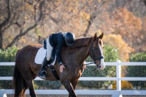 A rider in equestrian attire, possibly a Strides member like Kate, leans forward to hug their brown horse, showing affection in an outdoor arena with a white fence and autumn trees in the background.