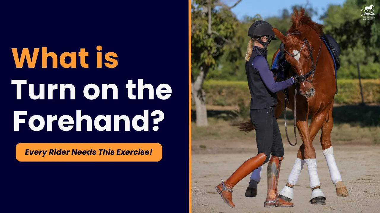 A rider in riding gear stands beside a horse, gently guiding its head while the horse steps sideways. The text reads: What is Turn on the Forehand? Every Rider Needs This Horse Training Exercise!.