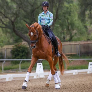 A rider in a colorful floral shirt and helmet is riding a chestnut horse with white leg wraps on a sandy dressage arena, surrounded by trees and a wooden fence during a holiday workshop.
