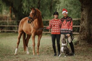 Two people in festive sweaters and riding gear stand outdoors with a brown horse and a gray dog, clearly enjoying their dressage training session. One person wears a Santa hat. They are all smiling, surrounded by trees and a wooden fence.