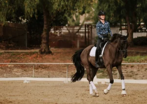 A person in riding gear is practicing dressage on a dark horse in an outdoor arena with sand footing. The horse, wearing white leg wraps, moves gracefully as trees and a fence provide a scenic backdrop. Perfect for anyone focused on dressage foundations.