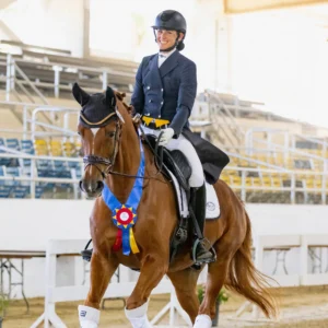 A smiling equestrian wearing a black helmet and riding jacket rides a brown horse adorned with a blue and red champion ribbon in an indoor arena, showcasing Dressage Foundations and skillful dressage technique.