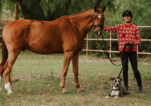 A person in a red sweater with white horse patterns stands next to a brown horse, holding its reins, while a gray and white dog sits on the grass beside them. They are outdoors near a wooden fence and trees during holiday workshops.