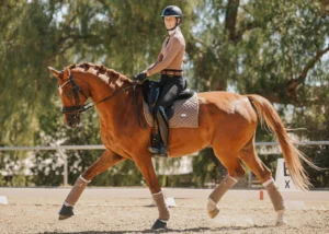 A person wearing a helmet and riding attire rides a brown horse with matching tack and bandages during a holiday dressage event outdoors on a sunny day. Trees and a dressage arena are visible in the background, suggesting special workshops or celebrations.