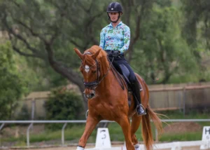 A person wearing a floral shirt and helmet rides a chestnut horse in an outdoor arena, surrounded by greenery and a wooden fence—a perfect scene for holiday riding workshops.