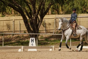 A person wearing a helmet rides a gray horse in an outdoor sandy arena near a marker labeled H, practicing Dressage Foundations. Trees and a wooden fence are visible in the background.