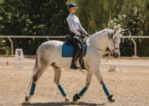 A person in a helmet rides a white horse with blue accessories in an outdoor arena, performing a dressage routine on a sunny holiday. Trees and dressage markers are visible, suggesting workshops may be taking place in the background.