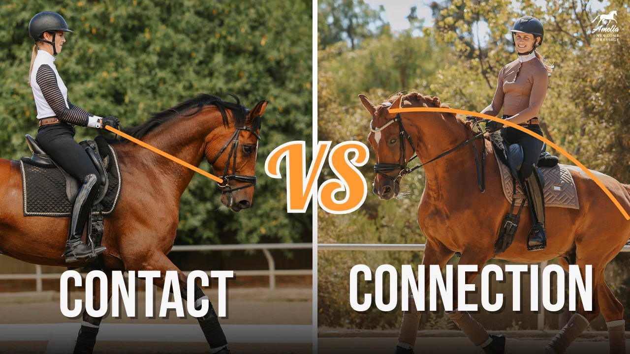 Split image: left side labeled Contact shows a rider holding reins taut; right side, labeled Connection, features a smiling rider and relaxed horse in harmony. VS stands boldly in the center.