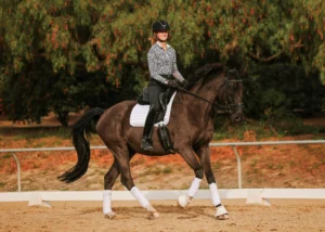 A person wearing a helmet and patterned shirt canters a dark horse with white leg wraps and a white saddle pad in an outdoor arena, surrounded by trees and sandy ground.