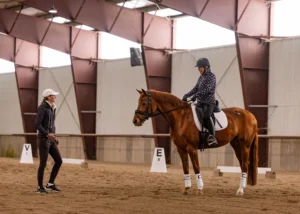 A person on horseback listens to an instructor in an indoor riding arena during a Training Scale Masterclass. The chestnut-colored horse wears white leg wraps, while lettered markers are visible around the arena.