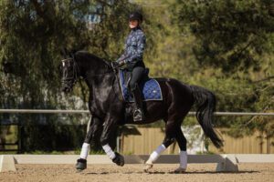 How to Improve Your Horse’s Canter
