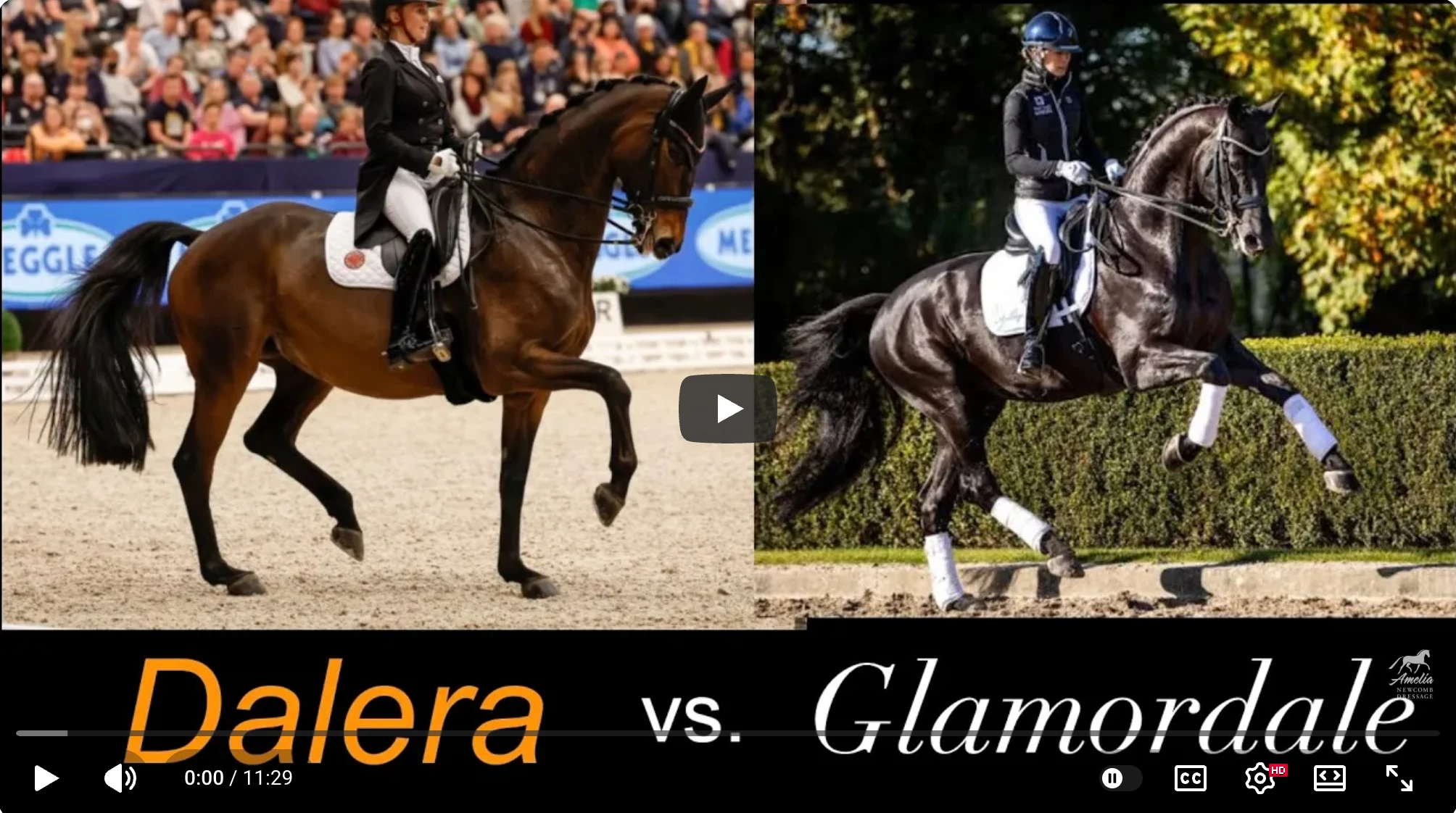 Side-by-side images of two dressage riders: left shows Dalera, a bay horse; right features Glamourdale, a striking black horse. "Dalera vs. Glamourdale" is written across the bottom, showcasing the elegance of top-level dressage competition.