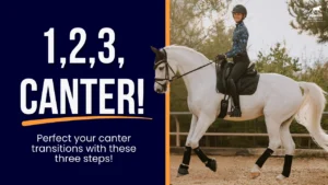 A rider in a helmet and boots cantering on a white horse in an outdoor arena. Text reads: 1, 2, 3, CANTER! Master perfect canter transitions with these three simple horse training steps!.
