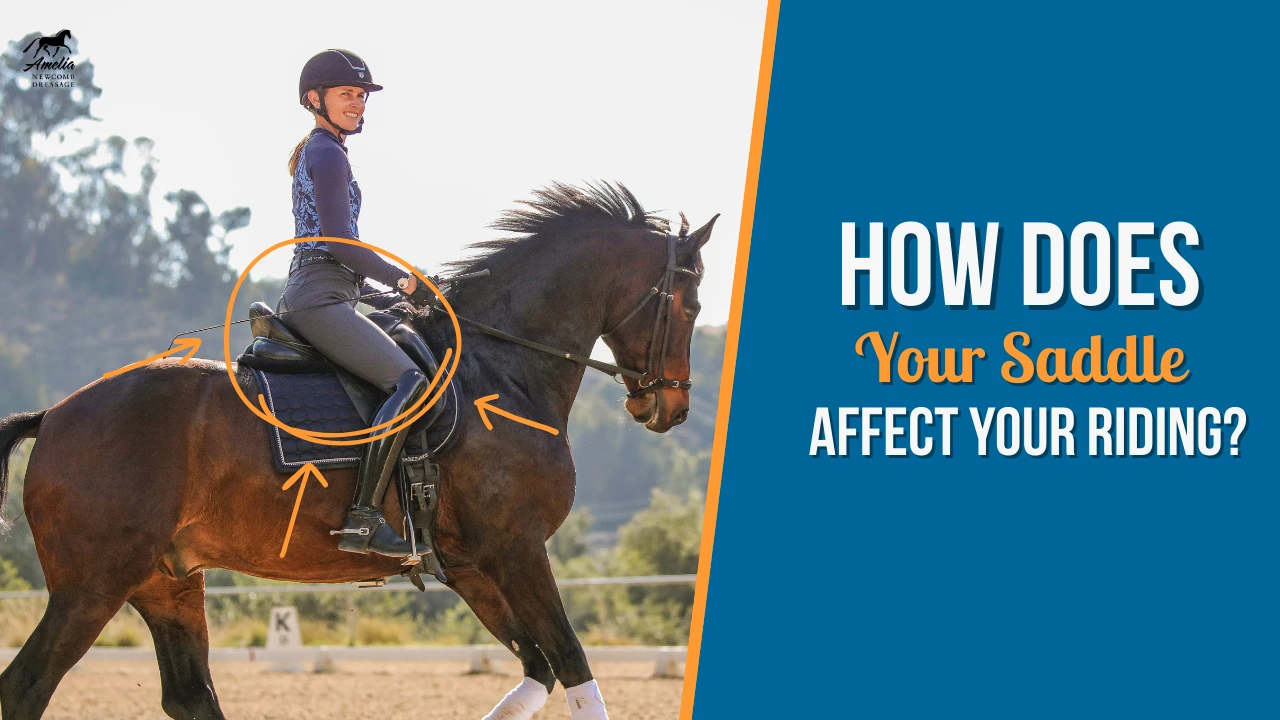 A woman in riding gear sits upright on a brown horse outdoors. Orange arrows and a circle highlight her saddle and riding posture. Next to her, text reads: How does your saddle affect your riding?.