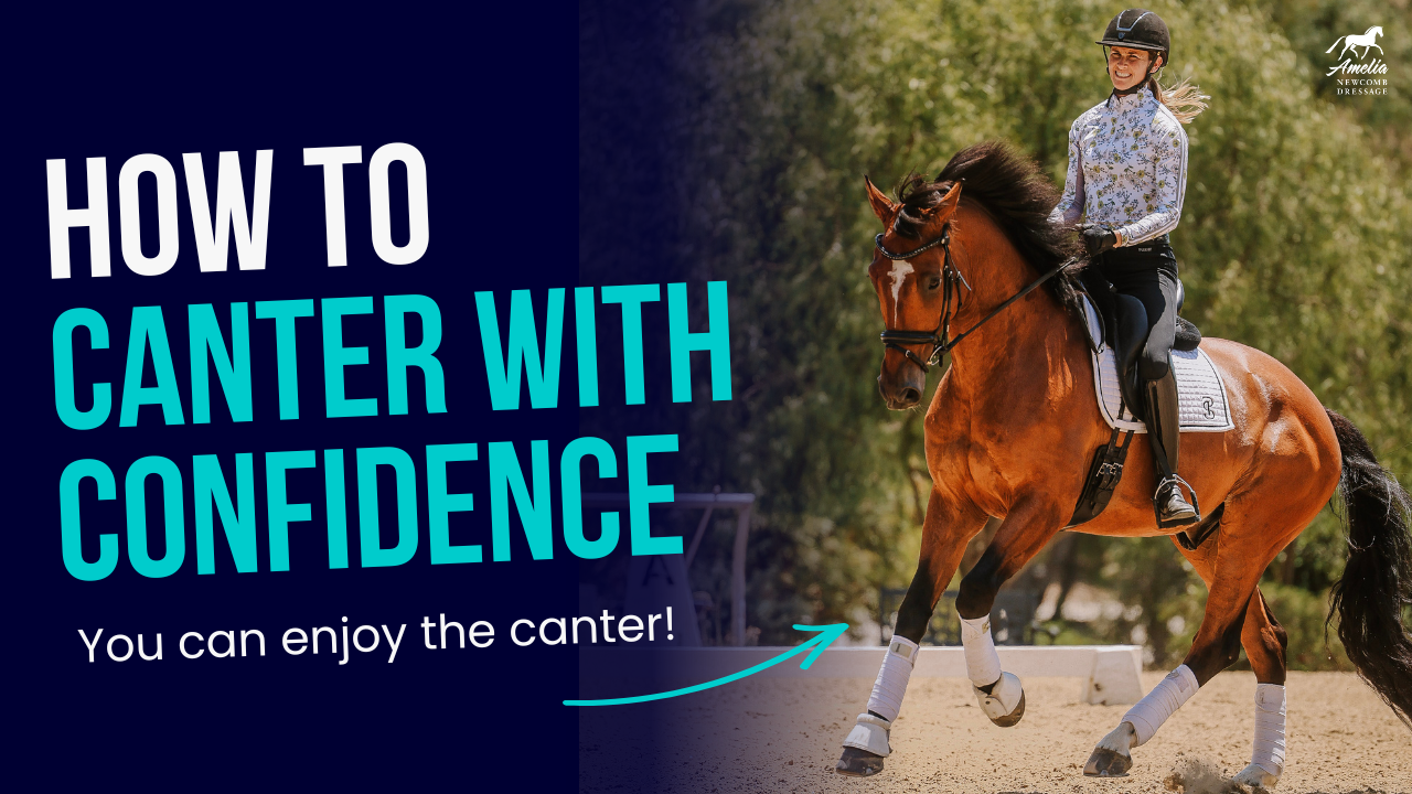 A woman confidently riding a brown horse at a canter in an outdoor arena. Large text reads: How to Canter With Confidence—sit the canter with ease! A beginners guide to horseback riding. Arrolo Equestrian Program logo in the top right corner.