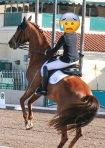 A horse rears up at a horse show.