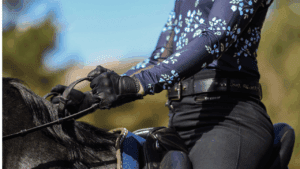 How to Hold the Reins Correctly