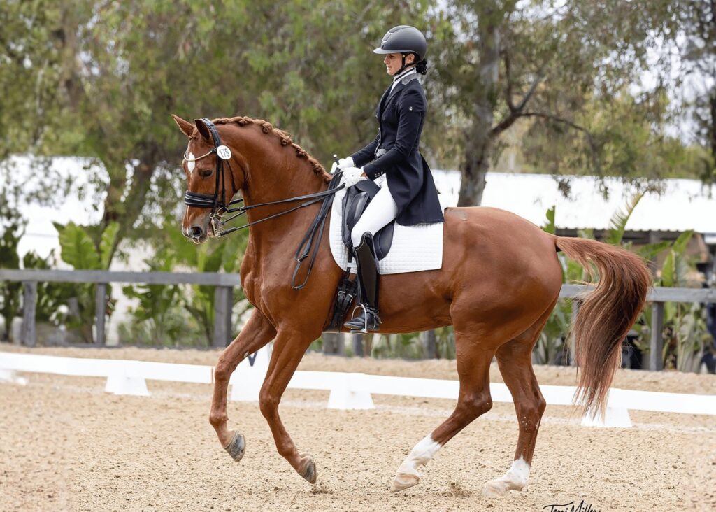 A rider in formal equestrian attire guides a chestnut horse with a braided mane through a dressage routine in an outdoor arena, surrounded by greenery and a wooden fence, showcasing skills honed through masterclasses.