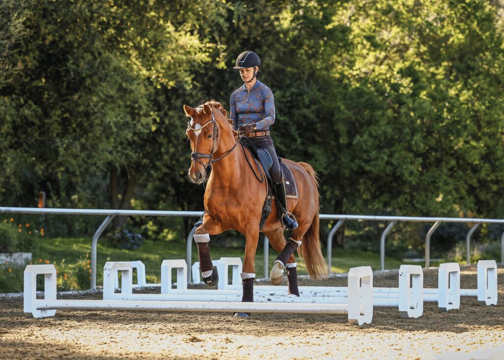 A person wearing a helmet rides a brown horse through a dressage arena with white poles on the ground, surrounded by trees and greenery on a sunny day, perfect for equestrian masterclasses.