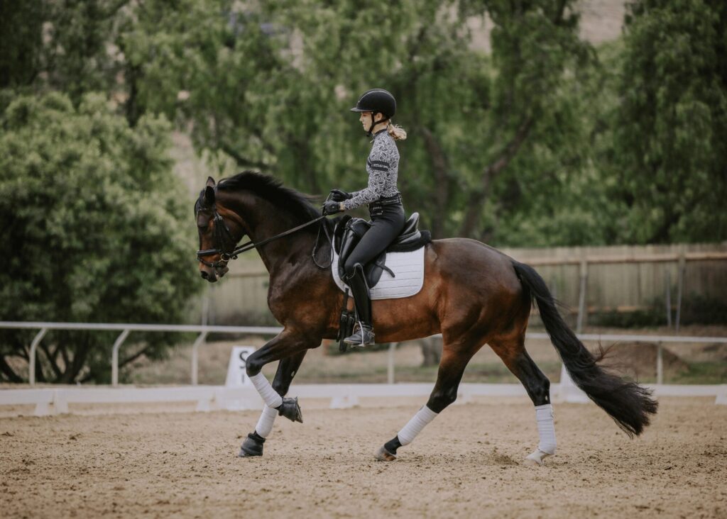 A person in riding gear and a helmet is taking part in masterclasses, riding a dark brown horse with white leg wraps in an outdoor arena surrounded by trees and a wooden fence.