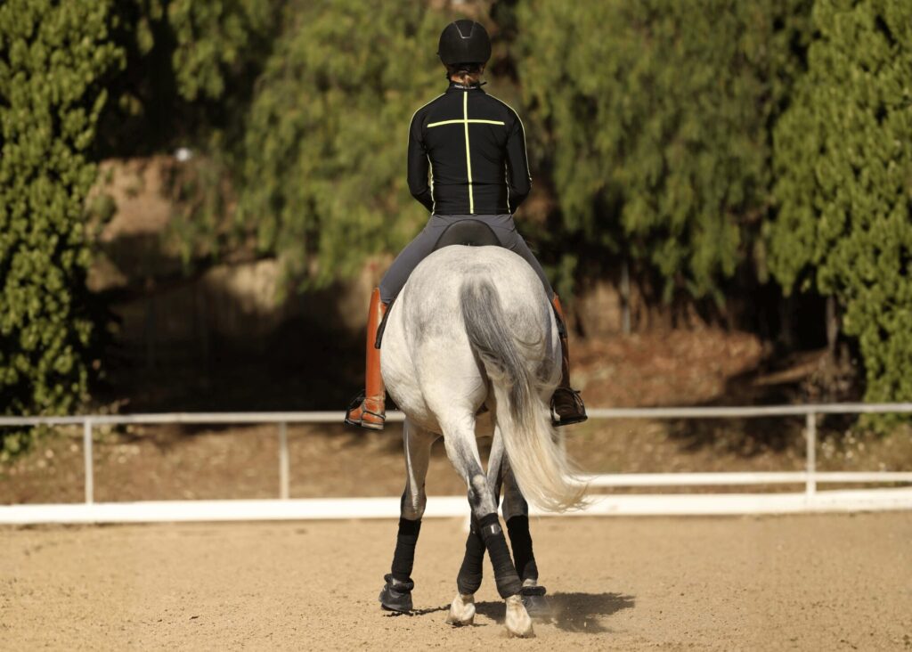 A person wearing riding gear and a helmet is riding a gray horse in an outdoor arena, viewed from behind, with trees and a fence in the background—showcasing expert training as the horse crosses its hind legs moving sideways.
