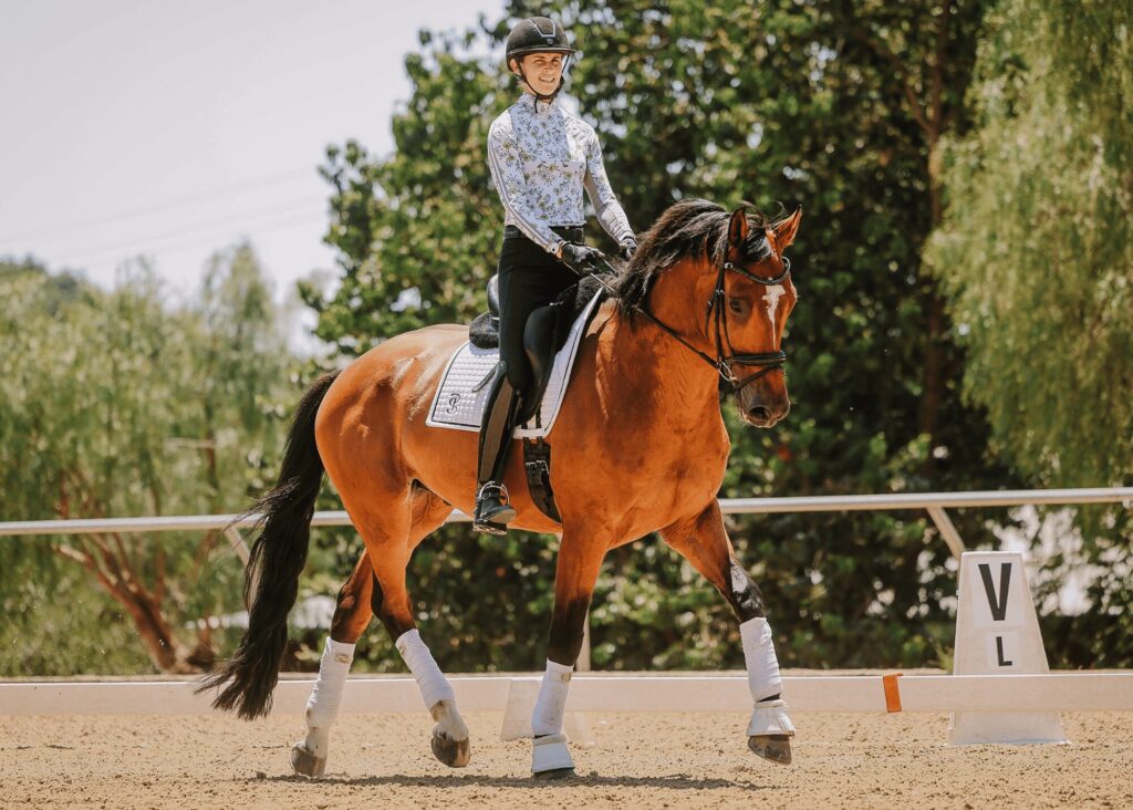 A person in a helmet and patterned shirt rides a brown horse in an outdoor arena, performing a dressage movement near a white marker labeled V. Trees and a fence are visible, evoking the focus found in expert training or Masterclasses.