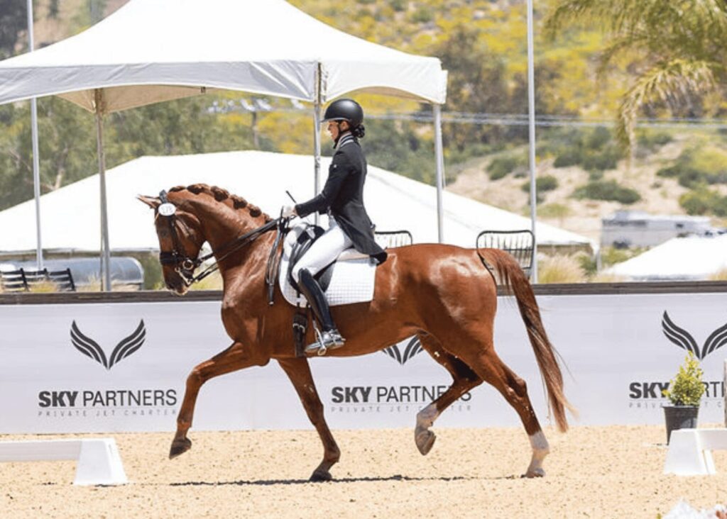 A person in formal riding attire and helmet rides a chestnut horse in a dressage arena, as white sponsor banners and tents line the background on a sunny day, evoking the atmosphere of elite competitions and masterclasses.