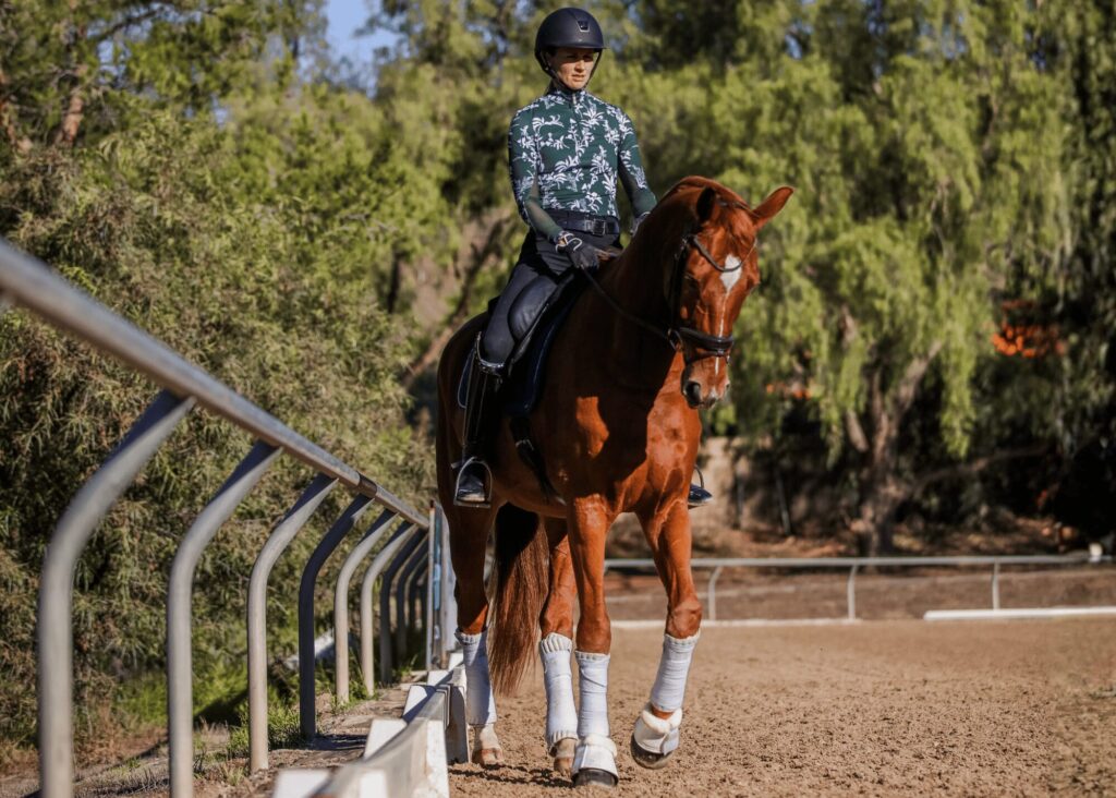 A person wearing a helmet and patterned jacket rides a chestnut horse in an outdoor arena lined with trees, as if preparing for masterclasses. The horse is equipped with white leg wraps and an English saddle.
