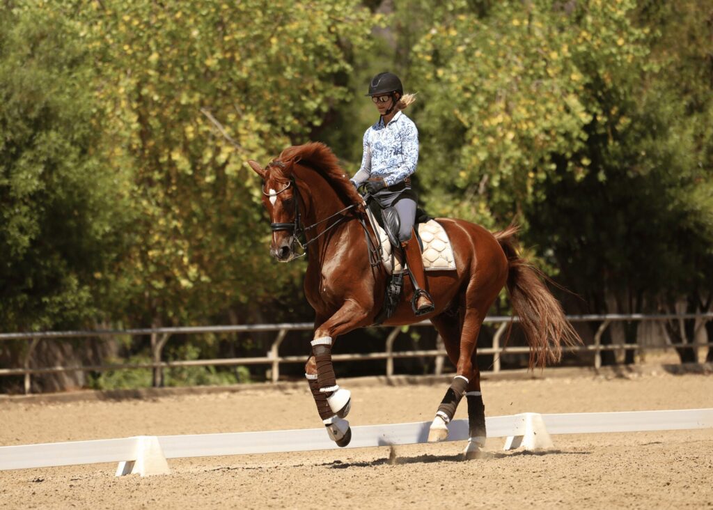 A person wearing a helmet and patterned shirt rides a chestnut horse in a sandy outdoor arena, surrounded by green trees and a wooden fence—perfect for equestrian masterclasses. The horse is mid-stride, lifting its front legs.