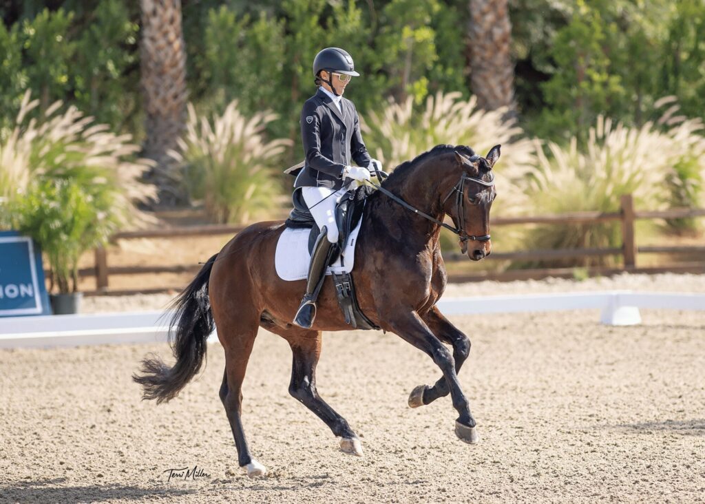 A rider in formal equestrian attire guides a dark brown horse in a dressage arena, performing a movement on sandy ground—an elegant display reminiscent of masterclasses, with trees and tall grass in the background.