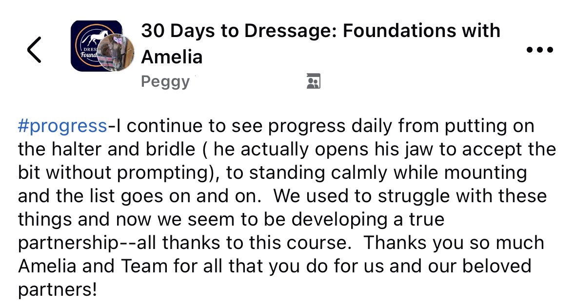 A social media post from Peggy in the 30 Days to Dressage: Foundations with Amelia group praises the course for helping her horse progress in accepting the bit and standing calmly, and thanks Amelia and her team.