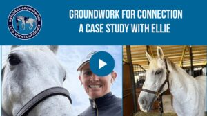 Split image: Left, a close-up of a grey horse’s eye and a smiling rider in casual attire. Right, the same grey horse stands relaxed in the barn, showcasing correct conformation. Header reads: GROUNDWORK FOR CONNECTION: A CASE STUDY WITH ELLIE, emphasizing Ellie’s transformation through developing trust and partnership using principles fundamental to classical dressage groundwork.