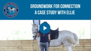 A student stands beside a saddled grey horse in a dressage arena. Text above states: Groundwork for Connection: Ellie's Transformation—A Case Study with Ellie. The blue circular logo in the top left corner reads Dressage Groundwork Lead With Confidence.